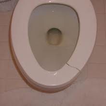 toilet seat repair